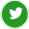 Twitter Icon