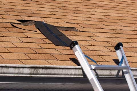 A Homeowner's Guide to Roof Damage